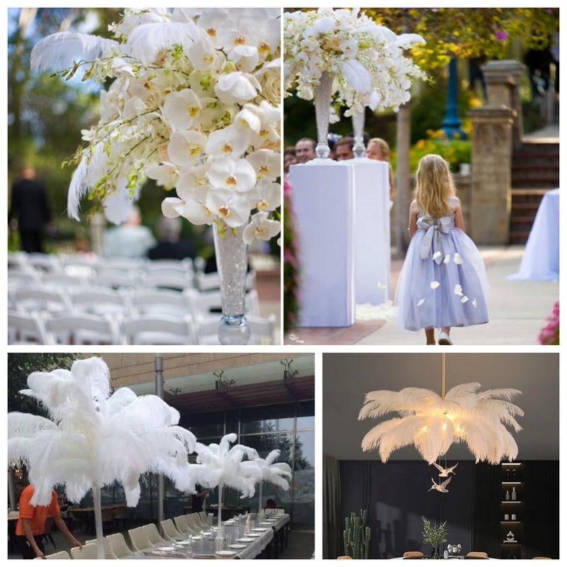 Sowder 5pcs Ostrich Feathers 16-18inch(40-45cm) Home Wedding Decoration(White) - Image 5